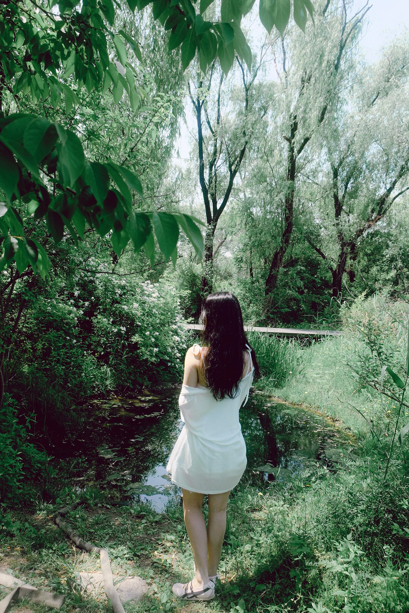 Jinny - Drowsy Summer