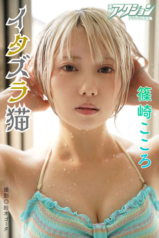 篠崎こころ イタズラ猫