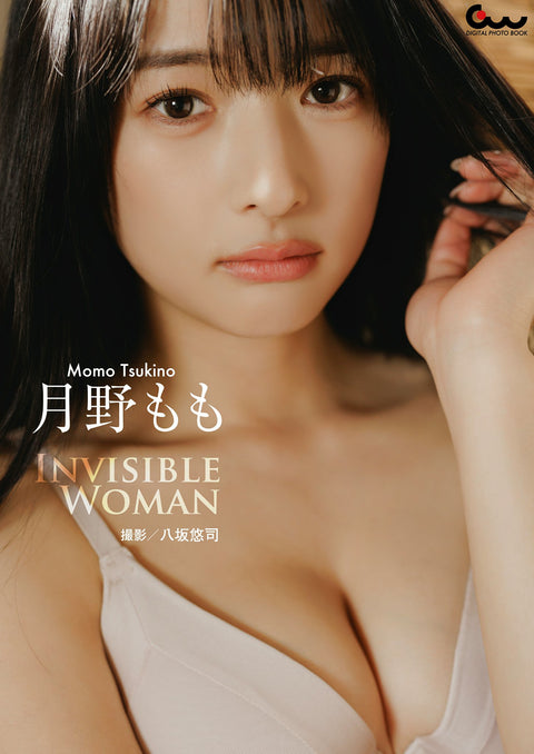 Guide Works